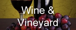 wine - places to go in Isle of Wight